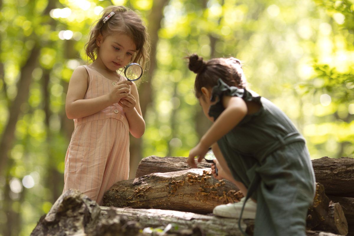 Juegos al aire libre: Aprendizaje en la naturaleza para niños pequeños ...
